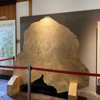 阿里山博物館區 Alishan Museum Area