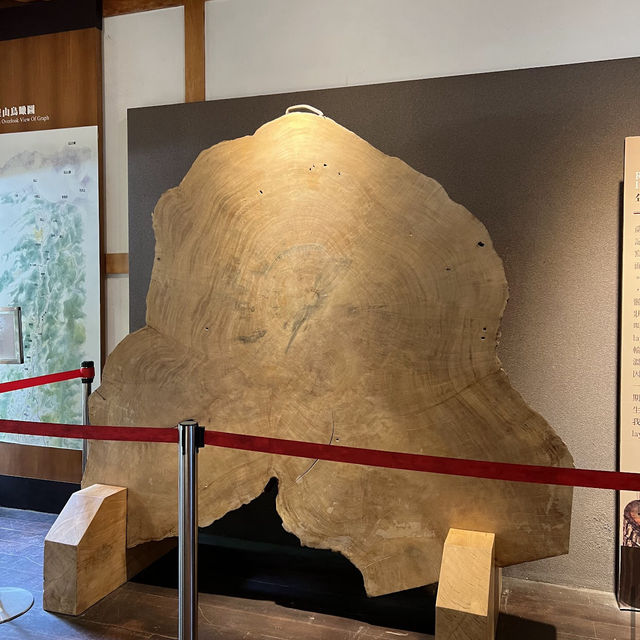 阿里山博物館區 Alishan Museum Area