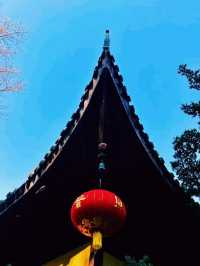 中國上海著名寺廟景點：龍華寺，適合打卡拍照📸