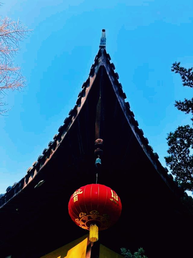 中國上海著名寺廟景點：龍華寺，適合打卡拍照📸
