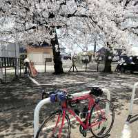 Shimizu Park, Chiba