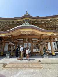 【青森×蕪島神社】ウミネコ3万から4万羽 空から運が降ってくる神社