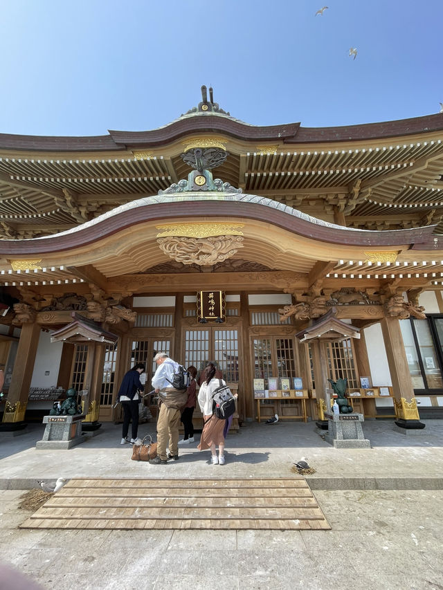 【青森×蕪島神社】ウミネコ3万から4万羽 空から運が降ってくる神社