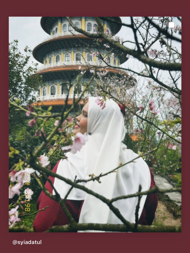Moments That Glowed: My Taiwan Tale 