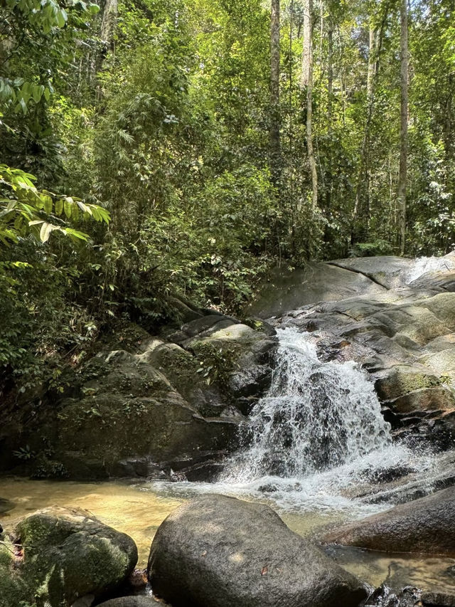A Quiet Hike to the Blue Lake, Johor Bahru (Taman Awam BBKP)