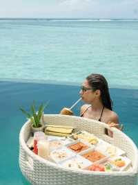 🌞 Another Day in Paradise – Maldives Bliss Continues! 🐬🍍