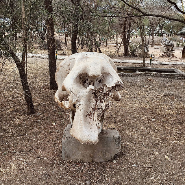 Tarangire 國家公園入口｜壯闊草原探險的起點