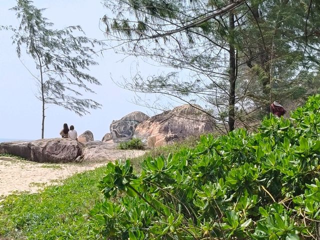 Tanjung Pelindung’s Rocky Canvas – A Tribute to Sea Turtles