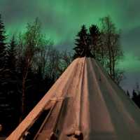 Chasing Aurora in Tromsø: Frozen Toes, Whale Snot, & the Night Sky’s Greatest Show ✨🌌