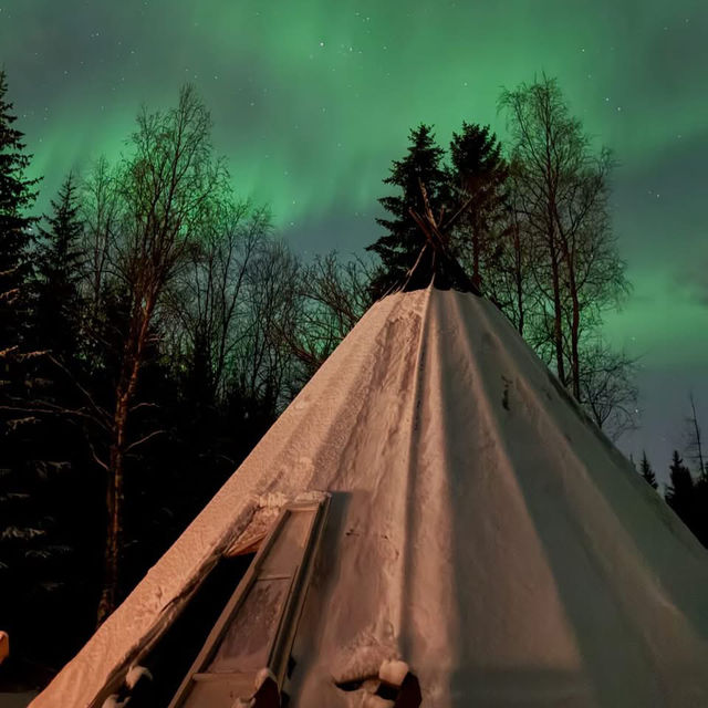 Chasing Aurora in Tromsø: Frozen Toes, Whale Snot, & the Night Sky’s Greatest Show ✨🌌