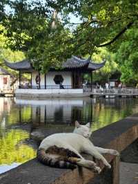 My favorite 3 places in Suzhou