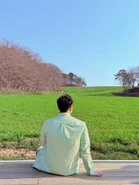 4월 꽃 구경하기 좋은 당진 코스 추천드려요~~
