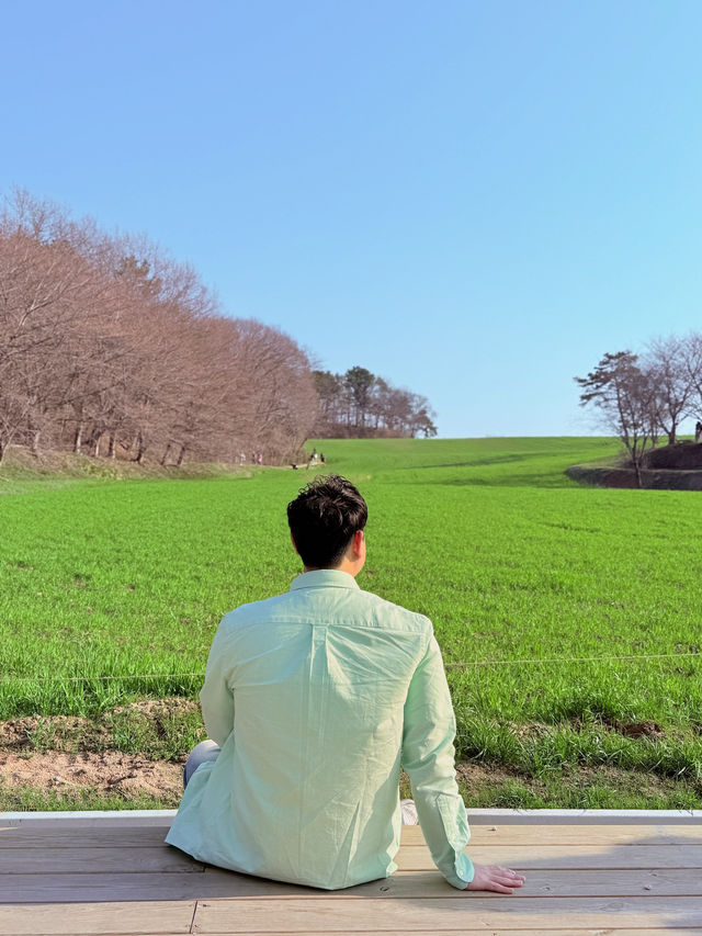 4월 꽃 구경하기 좋은 당진 코스 추천드려요~~
