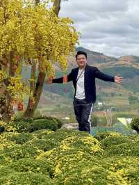 Da Lat in #April Blooms: A Review of the City of Eternal Spring