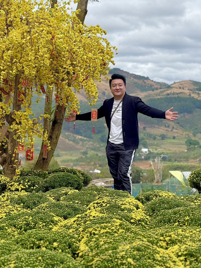Da Lat in #April Blooms: A Review of the City of Eternal Spring