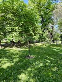 Springtime Vibes at 28 Panfilov Guardsmen Park