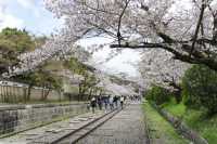 🚂🌸 Keage Incline: Kyoto’s Most Instagram-Worthy Abandoned Railway! 🌸🚂