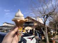美味しいハチミツに引き寄せられて 長坂養蜂場@浜松・三ヶ日🐝
