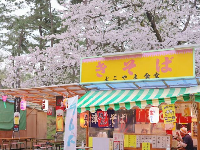 Pink Dreams on the Water: Cherry Blossoms at Hirosaki Park