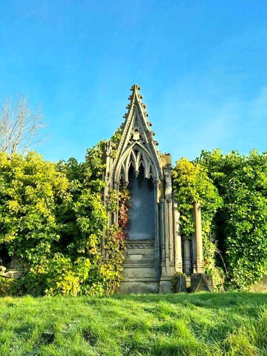 The Glasgow Necropolis