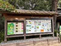 🇯🇵【香川県】広大な庭園！四季折々の花が楽しめる！栗林公園(^^)
