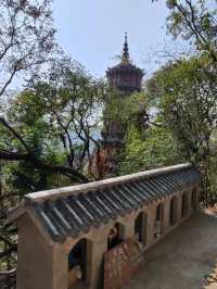 靜謐清幽的寶通禪寺