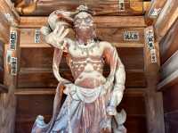 報恩寺で歴史に触れ、心を整える🕊️