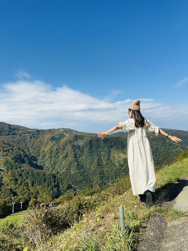 ロープウェイに乗って景色を楽しめる【新潟】