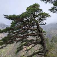 Seoraksan National Park