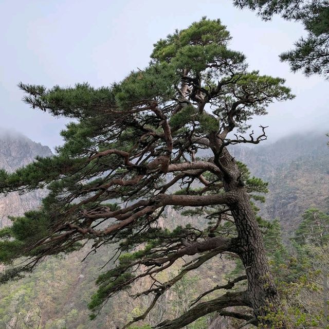 Seoraksan National Park