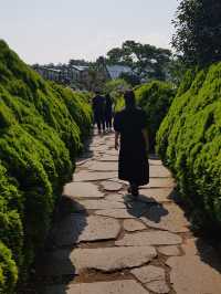 🌲 “시간도 소리도 느리게 흐르는 곳 – 제주 비밀의숲”