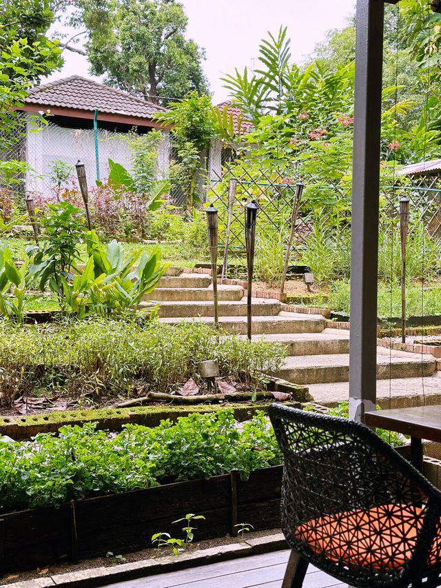 A Wholesome Weekend Brunch Escape at Open Farm Community 🌿🍽️