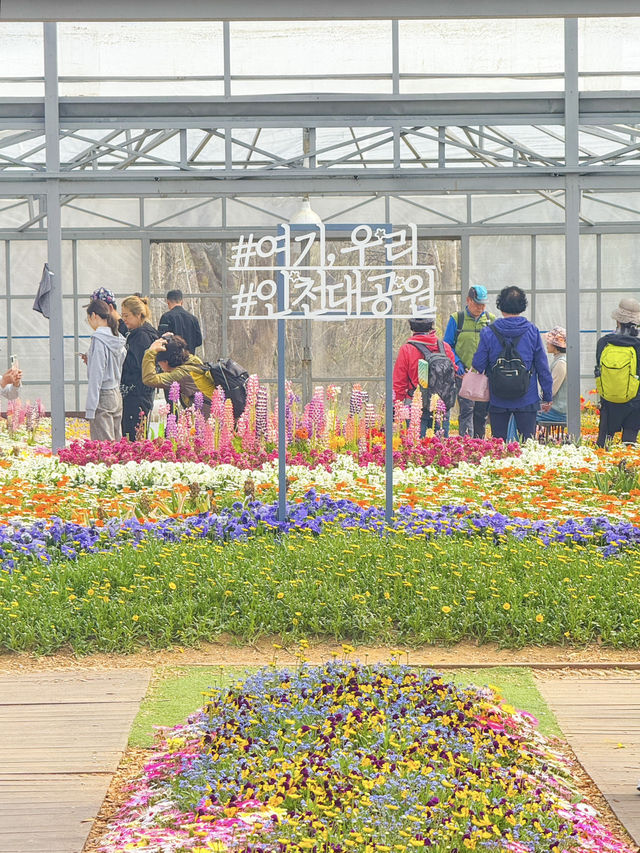 인천대공원으로 봄나들이가요!🌸