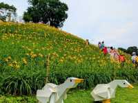 虎山巖 觀音佛祖