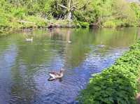 A Family Day by the River at Riverside Park