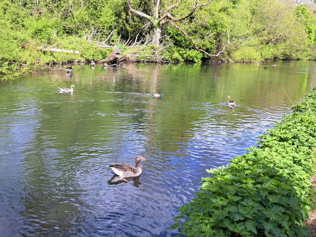 A Family Day by the River at Riverside Park