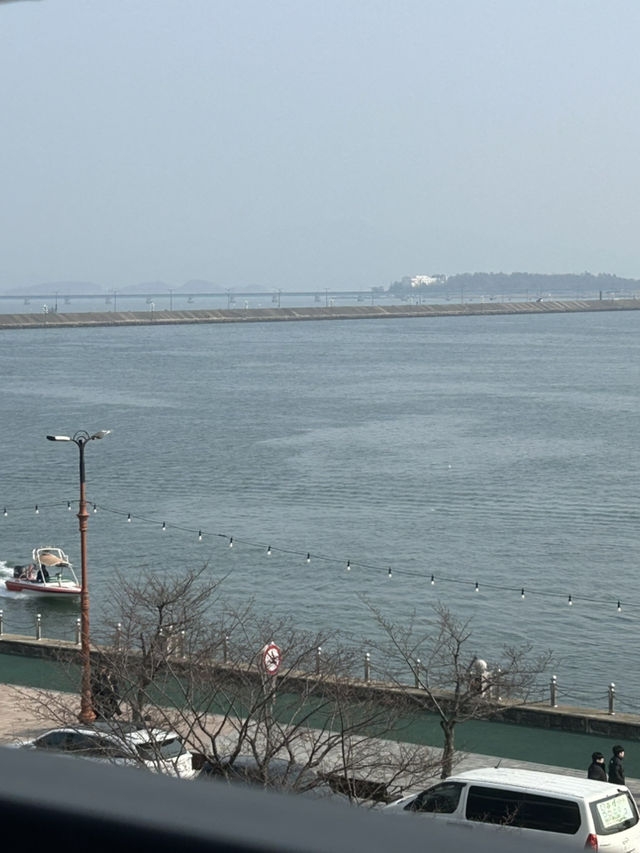 바다와 갈매기가 반겨주는 목포 평화광장, 가족여행지로 딱!🤍☀️