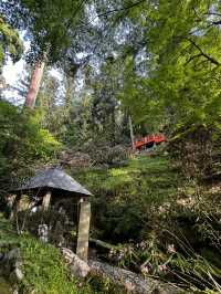 「なんで誰も教えてくれなかったの…？」岡寺に立った瞬間、思わずそんな言葉がこぼれた🇯🇵✈️🌏 