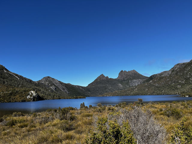 Family friendly Enchanted Walk and Wombats sightings 