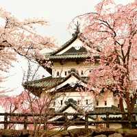Hirosaki Castle: Northern Japan’s Cherry Blossom Jewel