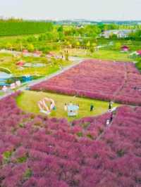 Binjiang Forest Park – Phase II: A Tranquil Escape in Shanghai’s North