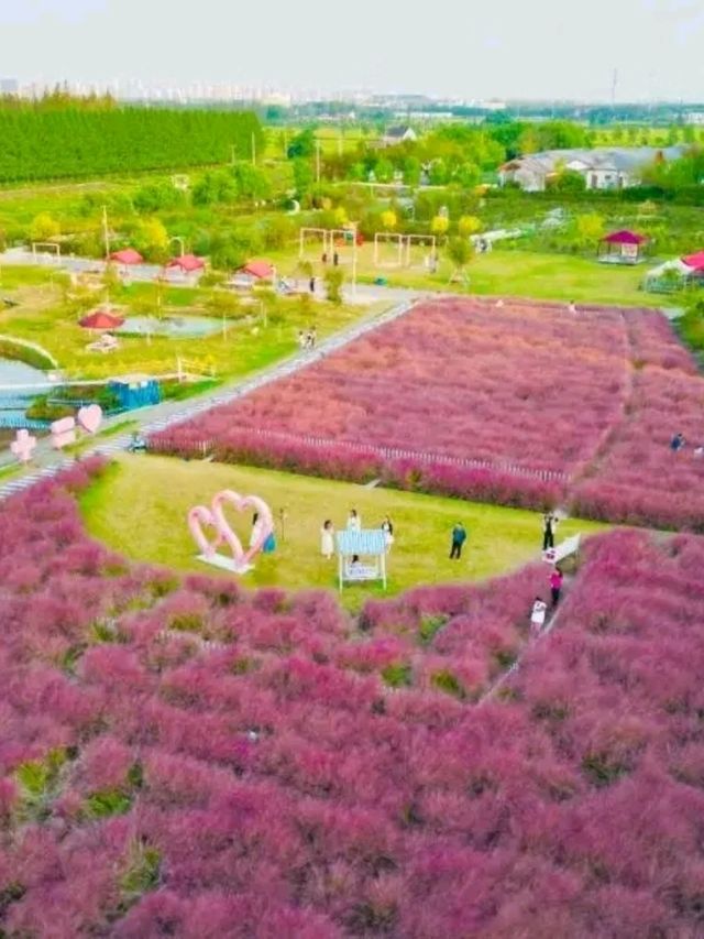 Binjiang Forest Park – Phase II: A Tranquil Escape in Shanghai’s North