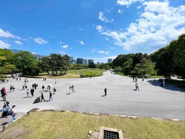 Royal Grounds, City Calm