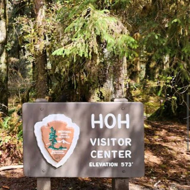 Hoh Rainforest – Olympic National Park, WA