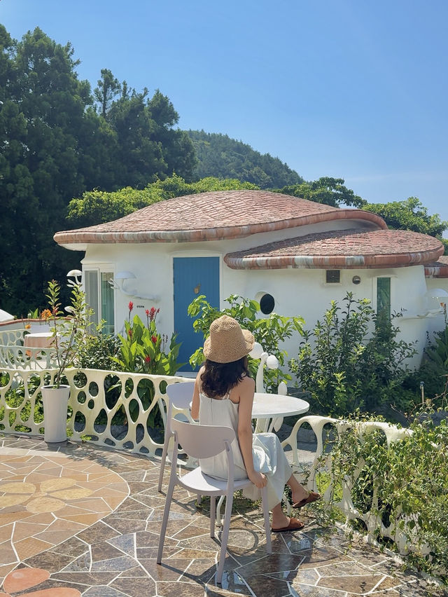 제주도 2박 3일 여행코스 추천🌿✈️