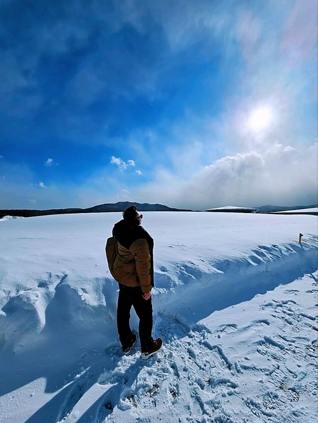 Hidden in the Snow: Sapporo’s Surprising Moai Statues & Buddha Hill!