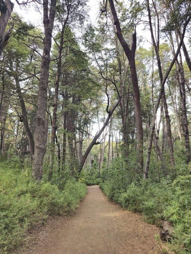 해외여행 아르헨티나 Sendero de los Arrayanes 에서 하이킹 