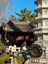 釜山海東龍宮寺｜海岸線上最美的寺廟🌊