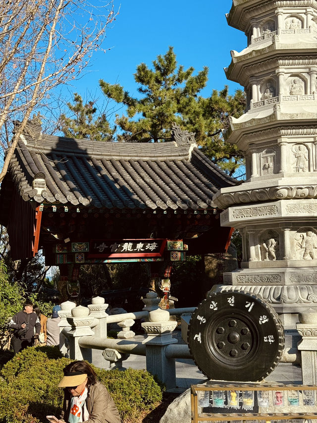 釜山海東龍宮寺｜海岸線上最美的寺廟🌊