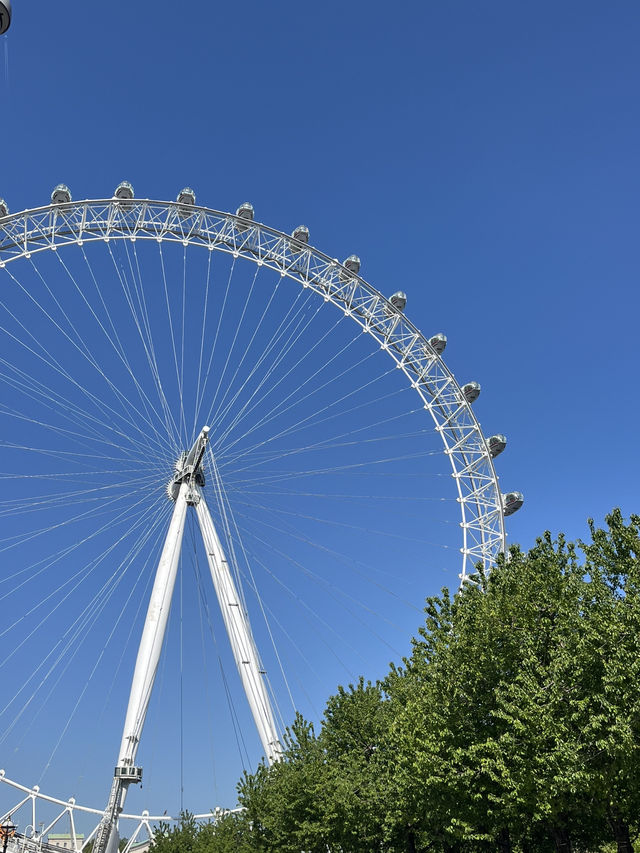 A day in Westminster
